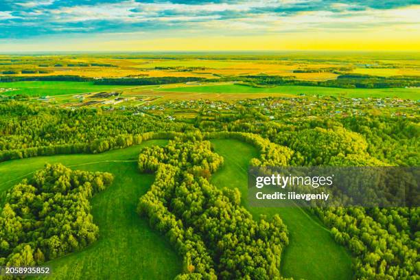 forest drone photography. sustainability. aerial landscape. nature conservation. green economy - carbon footprint reduction stock pictures, royalty-free photos & images