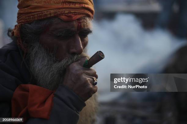 Sadhu, a Hindu holy person, is smoking marijuana from a traditional chillum on the eve of the Maha Shivaratri festival at the Pashupatinath Temple...