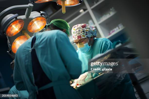 pet dog surgery - animal cruelty stock pictures, royalty-free photos & images