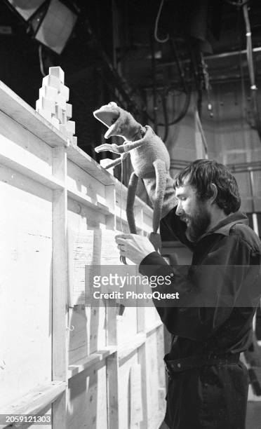 View of American puppeteer Jim Henson as he turns a script with one hand and operates a Kermit the Frog puppet with the other during an episode of...