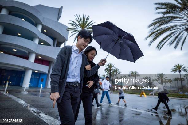 Long Beach, CA People cross the street amid wind and rain as they visit the Aquarium of The Pacific in Long Beach Wednesday, March 6, 2024.