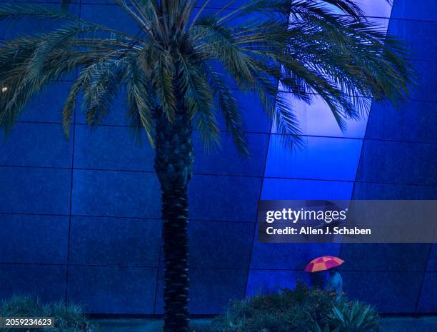 Long Beach, CA A person with an umbrella walks in the rain at the Aquarium of The Pacific in Long Beach Wednesday, March 6, 2024.