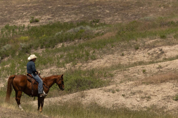 MT: Peacock's "The McBee Dynasty: Real American Cowboys" - Season 1