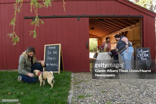 Maygin Rittinger of Albany, left, feeds her pug Winston a whipped cream pie June Farms opens its weekly Dog Park Night on Thursday, May 13, 2021 in...