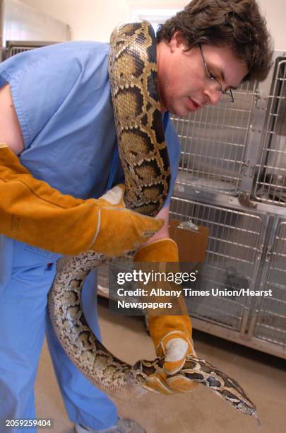 Times Union staff photo by Lori Van Buren -- Animal Care Technician Derrick Von Fricken holds an 8 foot Burmese Python nicknamed "Jigger" at the...
