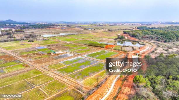 Large machinery is digging at a high-standard farmland construction site in Nanhu village, Gao 'an city, East China's Jiangxi province, March 7, 2024.