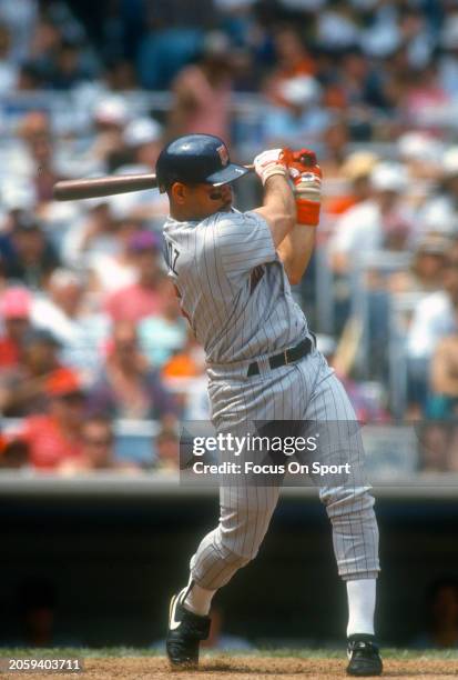 Pedro Munoz of the Minnesota Twins bats against the New York Yankees during an Major League Baseball game circa 1992 at Yankee Stadium in the Bronx...