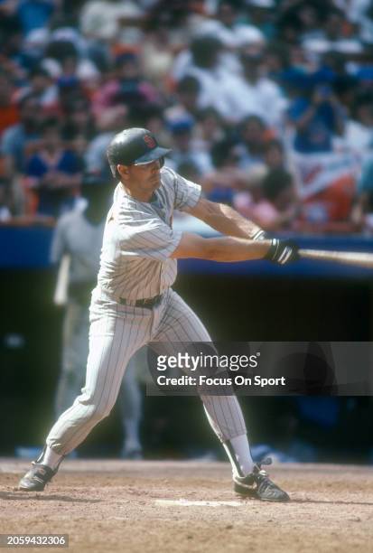 Randy Ready of the San Diego Padres bats against the New York Mets during a Major League Baseball game circa 1987 at Shea Stadium in the Queens...