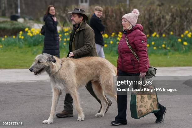 Owners and their Irish Wolfhound arrives on day two of the Crufts Dog Show at the National Exhibition Centre in Birmingham. Picture date: Friday...