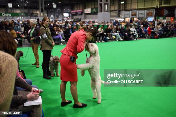 Woman kisses a Lagotto Romagnolo dog as it is judged in the Gundog class on the second day of the Crufts dog show at the National Exhibition Centre...