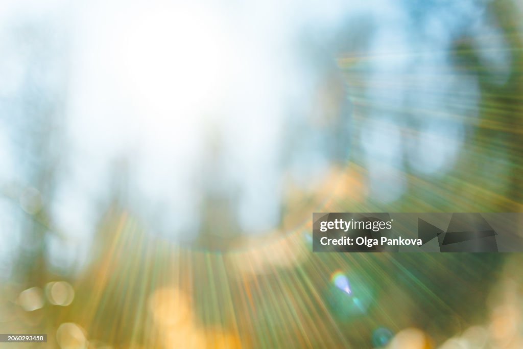 Blurred background with sun rays in the forest