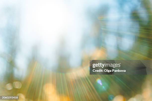 blurred background with sun rays in the forest - paradis : espoir photos et images de collection