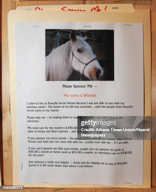 Folder and flyer on a bulletin board for different horses so people can sponsor a rescued horse at Peaceful Acres Horses Inc.. People gathered for a...