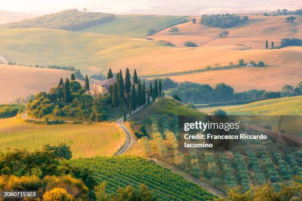 tuscany, rolling hills in springtime - tuscany stock pictures, royalty-free photos & images