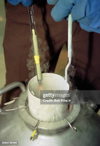 Nitrogen filled storage tanks contain patients sperm & embryos where they are maintained in below-freezing temperatures at California Cryobank...