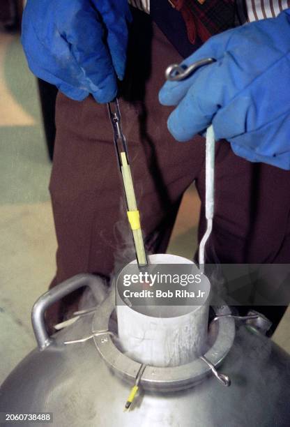 Nitrogen filled storage tanks contain patients sperm & embryos where they are maintained in below-freezing temperatures at California Cryobank...