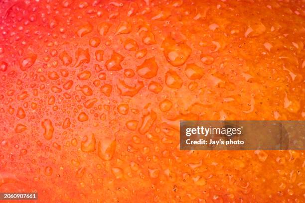 mango detail shooting background. fruit, studio shot. - green mango stock pictures, royalty-free photos & images