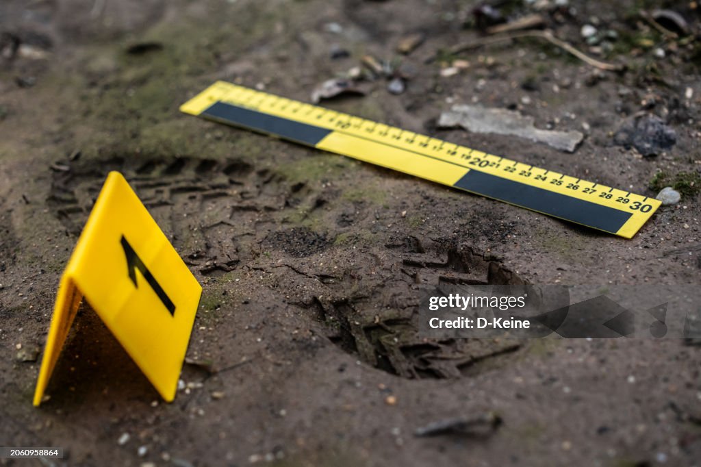 Footprint