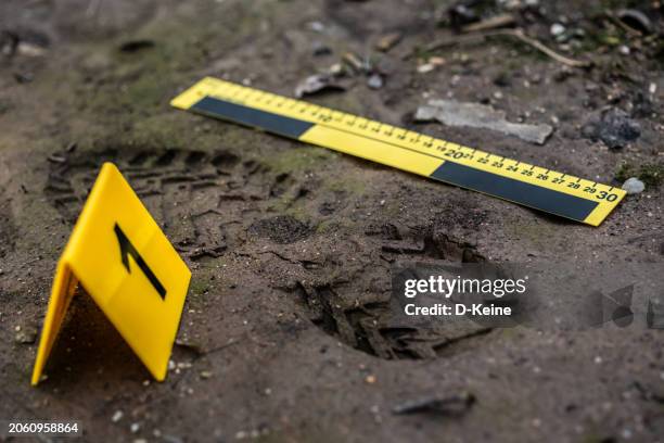 footprint - inchiesta sul crimine foto e immagini stock