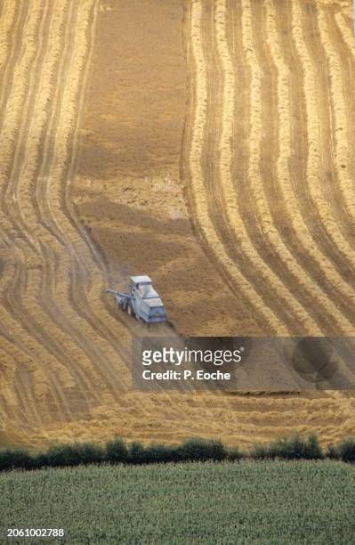 combine harvester in a wheat field from the sky - agriculteur blé stock pictures, royalty-free photos & images