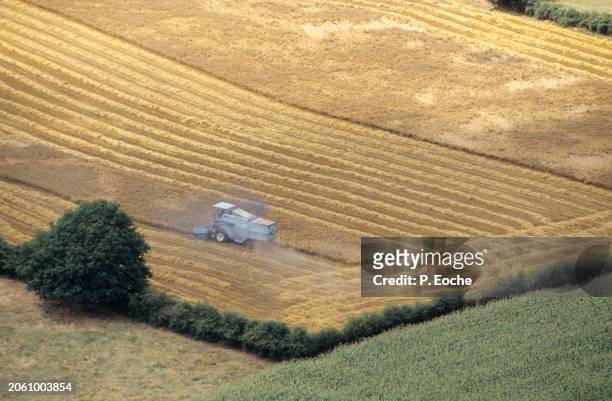 combine harvester in a wheat field from the sky - agriculteur blé stock-fotos und bilder