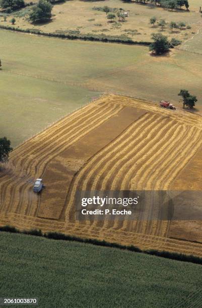 combine harvester in a wheat field from the sky - agriculteur blé stock pictures, royalty-free photos & images