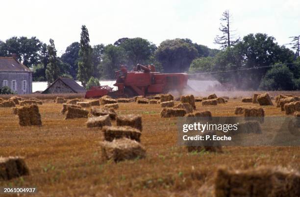 combine harvester in a wheat field - agriculteur blé stock-fotos und bilder