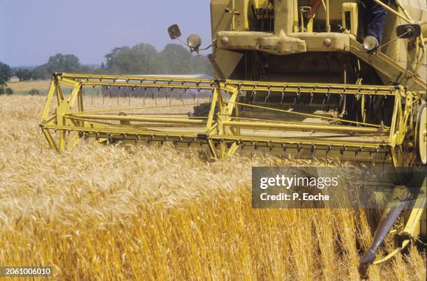 combine harvester in a wheat field - agriculteur blé stock-fotos und bilder