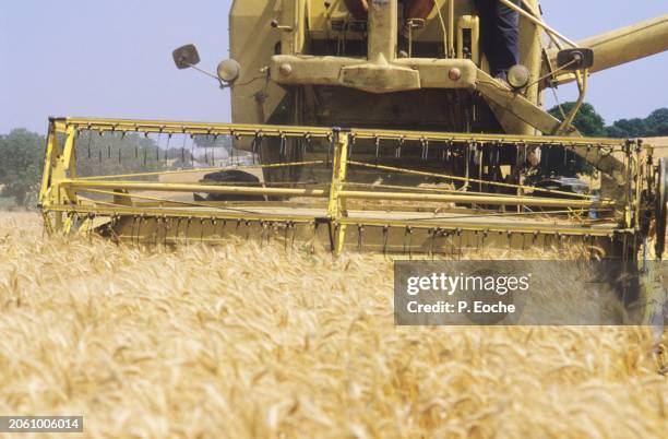 combine harvester in a wheat field - agriculteur blé stock-fotos und bilder