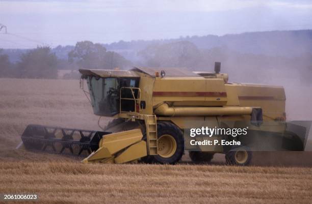 combine harvester in a wheat field - agriculteur blé stock-fotos und bilder