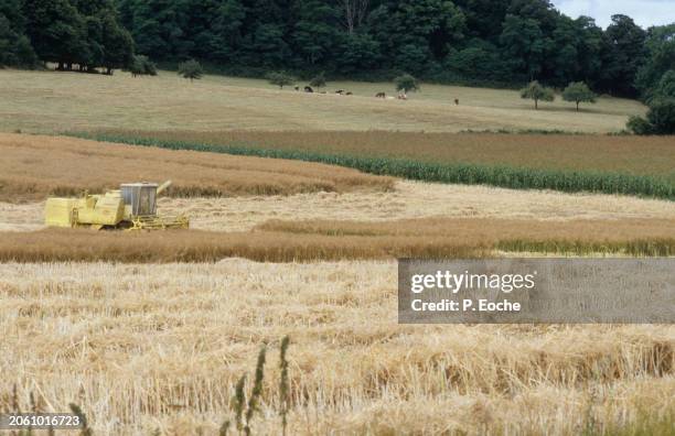 combine harvester in a wheat field from the sky - agriculteur blé stock-fotos und bilder