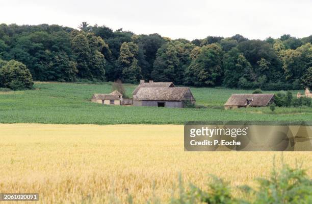 wheat and corn field around a farm - agriculteur blé stock-fotos und bilder