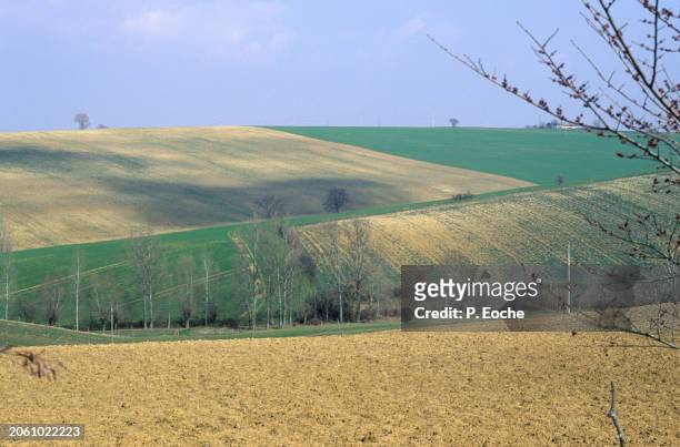 hilly field - agriculteur blé stock pictures, royalty-free photos & images