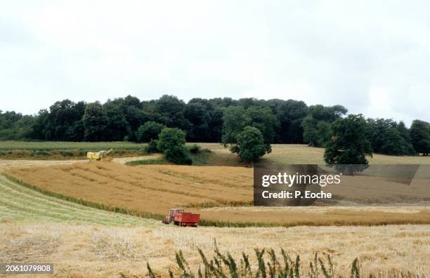 combine harvester in a wheat field from the sky - agriculteur blé stock pictures, royalty-free photos & images