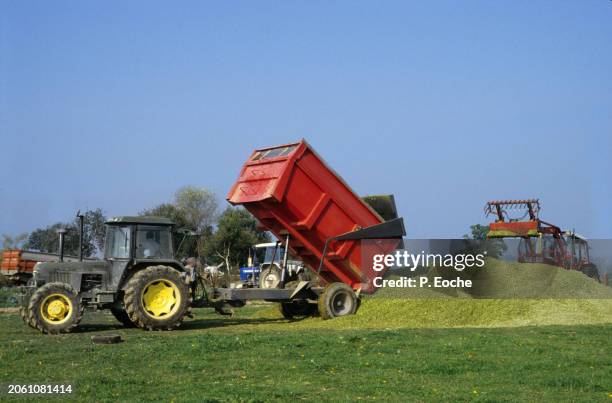 tractors prepare the pile of fodder - agriculteur blé stock-fotos und bilder