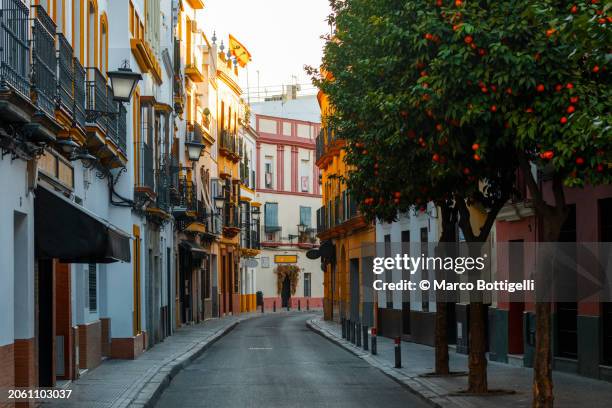 city street in the old triana district, seville, spain - seville triana foto e immagini stock