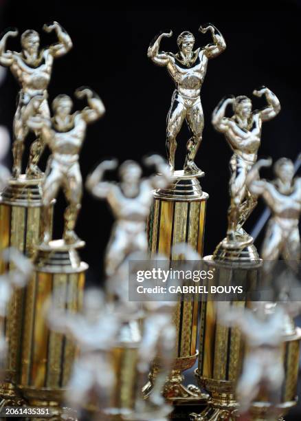 Trophies for respective categories are seen during the "Mr. And Mrs. Muscle Beach" event on July 4, 2008 in Venice Beach, California. Fun and fitness...