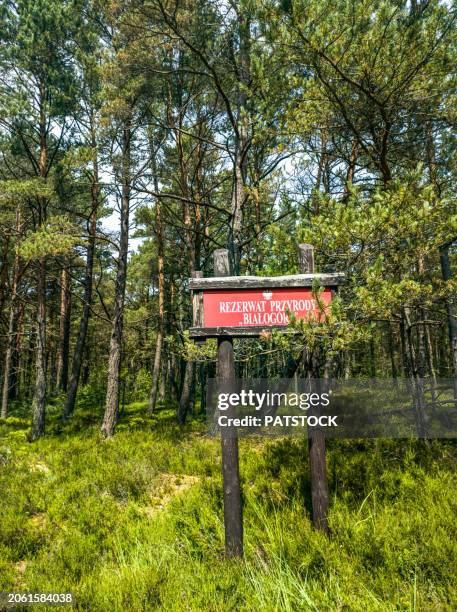 białogóra nature reserve information sign - pomorskie province stock pictures, royalty-free photos & images