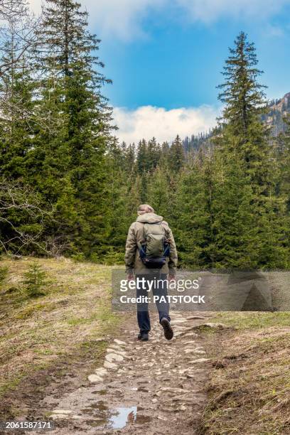 adult man hiking in the tatra mountains. - tatra national park stock pictures, royalty-free photos & images
