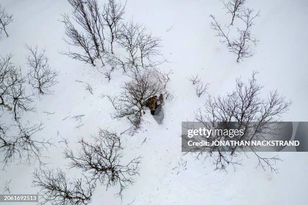 This aerial view taken on March 8, 2024 shows a Norwegian Home Guard soldier of the 17th District Company 'Ida and Lyra', part of the rapid...