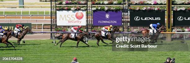 Traffic Warden ridden by Jamie Kah wins the MSS Security Sires' Produce Stakes at Flemington Racecourse on March 09, 2024 in Flemington, Australia.