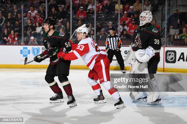 Connor Ingram of the Arizona Coyotes gets ready to make a save as teammate Sean Durzi battles for position with Alex DeBrincat of the Detroit Red...