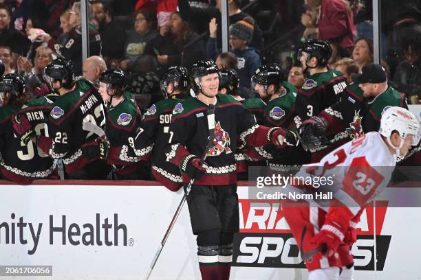 Nick Bjugstad of the Arizona Coyotes celebrates with teammates on the bench after scoring a goal against the Detroit Red Wings during the second...