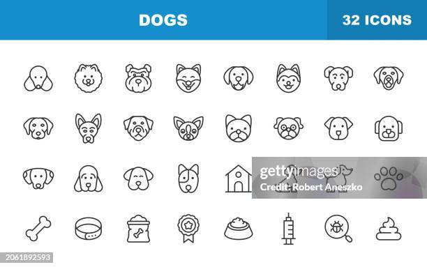 illustrations, cliparts, dessins animés et icônes de icônes de ligne de chien. trait modifiable. contient des icônes telles que animal, chiot, chenil, animal domestique, os de chien, seringue, badge, patte de chien, vétérinaire, bol pour animaux de compagnie, nourriture pour chiens. - loulou robert