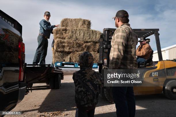 Donated hay, trucked 6 hours from Goldwaite, Texas by Brian Moore , Chris Hager and Hager's 5-year-old son Guy, is unloaded at a donation center...