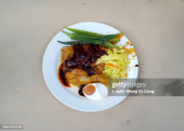 nasi kandar penang - halal stock pictures, royalty-free photos & images