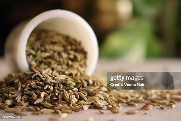close-up of fennel seeds(saunf) pouring out from a ceramic bowl/ still life - fennel seeds stock pictures, royalty-free photos & images