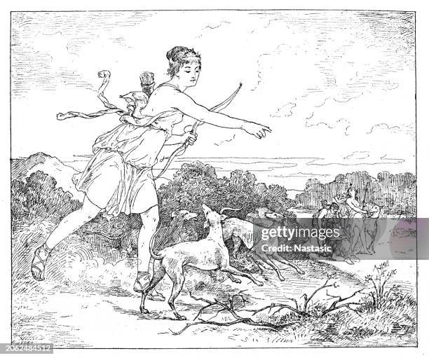 diana training young dogs for the chase - swan-hunter stock illustrations