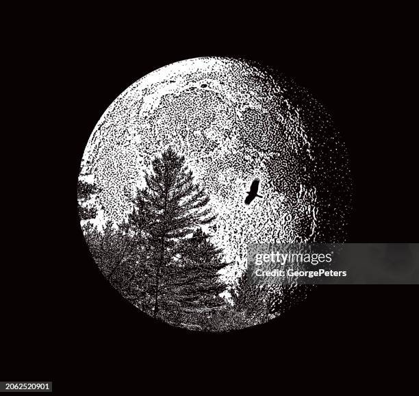 131 Full Moon Line Drawing Stock Photos, High-Res Pictures, and Images ...