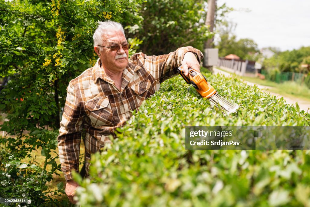 Senior man cutting the hedge with an electric trimmer